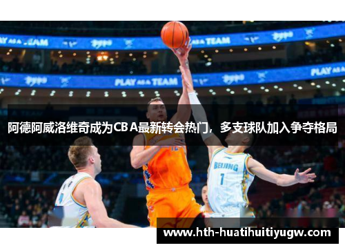 阿德阿威洛维奇成为CBA最新转会热门，多支球队加入争夺格局