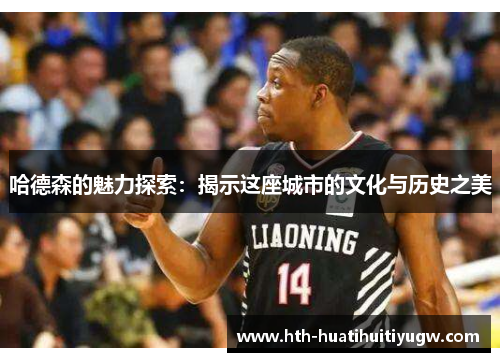 哈德森的魅力探索：揭示这座城市的文化与历史之美